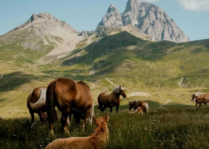 Chez Britta Apartamento